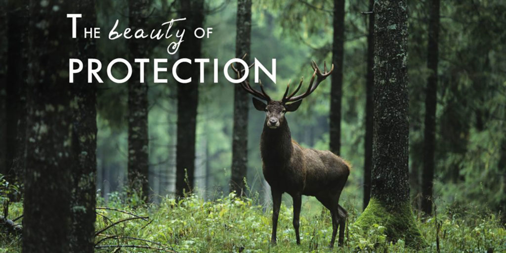 The Beauty of Protection